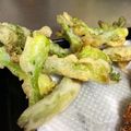 ☆はあ☆'s cooksnap of when they made タラの芽の天ぷら.