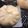 hitomi34's cooksnap of when they made 551みたい！と言われる肉まん.