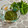 はなぴっち's cooksnap of when they made 【農家のレシピ】木の芽味噌.