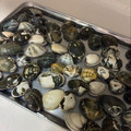 ｂｅｒｒｙ＋'s cooksnap of when they made 絶対失敗しない～あさりの砂抜き.
