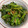 ポムポムポヨコ's cooksnap of when they made のらぼう菜　基本のごま和え.