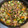 姉妹♡ママ♡'s cooksnap of when they made ご飯がすすむ♪白菜と豚肉と春雨の炒め煮.
