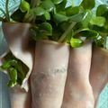 ミント🌿's cooksnap of when they made かいわれハム巻き.