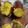島子☆'s cooksnap of when they made 蜜の甘さが溢れる🍠3品種の焼き芋🥰🍂.