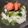 にゃつめ〜's cooksnap of when they made サラッと完食@焼き明太子茶漬け.