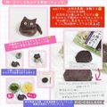 しーくれっと・らいふ's cooksnap of when they made 飼い主さんを見上げる黒猫にキュン♡.