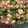クックモトコ☆'s cooksnap of when they made 簡単！ピーマンと厚揚げとシラスの炒め煮.