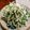 かわゆう1211's cooksnap of when they made 水菜と豆腐の白和え　☆わさび味☆.