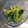 クックJ0EBVZ☆'s cooksnap of when they made カニカマと青梗菜のおひたし＊ごま油和え.