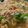 クックPJUO24☆'s cooksnap of when they made 家族絶賛♪レンジで麻婆春雨!今夜の夕食.