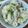 内田さんちのからあげ's cooksnap of when they made 激旨！鮭のニンニクバター醤油炊き込みご飯.