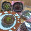 masakith's cooksnap of when they made バレンタインに**チョコ♥マドレーヌ**.