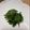 ゆうママst's cooksnap of when they made わさび菜のおひたし.
