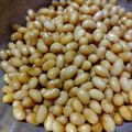 クック3D63YZ☆'s cooksnap of when they made 活力鍋で蒸し大豆の覚書.