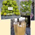 コネコリン's cooksnap of when they made 和歌山県民が教えます！本当の♡梅シロップ.