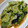 ナーちゃん's cooksnap of when they made 減塩☆レタスと海苔のオイスターソース炒め.