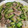 ゆるмαмα's cooksnap of when they made ✜豚肉ときゅうりの中華炒め✜.