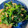 ponpocojp's cooksnap of when they made ほうれん草となめ茸の和え物.