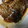 ともみ⭐️'s cooksnap of when they made ☆鯉のうま煮☆.