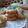 mamy_kitchen89's cooksnap of when they made 鳩サブレ⁈秘密はアーモンドパウダー！.