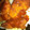 クックTTMYCD☆'s cooksnap of when they made 簡単！ささみフライ丼.