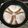 puniＫ's cooksnap of when they made 半熟目玉焼きウインナー添え.