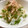 にゃつめ〜's cooksnap of when they made 新玉ねぎと大根のサラダ.