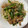 マカロニグリとぐら's cooksnap of when they made 豚ばらのにら炒め.