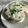 yu🐓's cooksnap of when they made しらすと昆布、大葉、炒りごまのおにぎり.