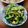 かわゆう1211's cooksnap of when they made 冷やして食べて～♪ゴーヤーのおひたし.