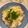 パッシーユ's cooksnap of when they made しめじと油揚げの白だし炊き込みごはん。.