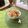 キンプリ's cooksnap of when they made 旦那ちゃんのずぼらメシ〜(o^m^o).