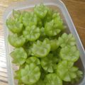 あかぴーー's cooksnap of when they made お弁当・運動会にも＊ぶどうの飾り切り.
