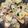 クックM96XDX☆'s cooksnap of when they made ナスと豚こまの重ね蒸し.
