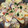 クックM96XDX☆'s cooksnap of when they made ナスと豚こまの重ね蒸し.