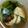 ゆめまるクック's cooksnap of when they made 出汁が美味しい！塩タラとまいたけの煮物.