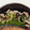 新妻あや's cooksnap of when they made きのこと豚肉の炊き込みご飯.