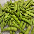 ｂｅｒｒｙ＋'s cooksnap of when they made 塩の効いた枝豆（茹で方ポイント付き）.