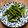 pali's cooksnap of when they made 簡単♪インゲンのニンニク炒め.