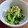 azbjbn's cooksnap of when they made きゅうりのオイスターソース和え.