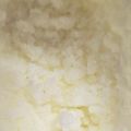 桜空星's cooksnap of when they made フライパンとグリルで簡単焼き鳥.