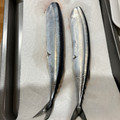 クックDUBJBJ☆'s cooksnap of when they made さんまの下処理（内臓　スル～～！！）.