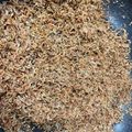 じゅるちゃん's cooksnap of when they made ご飯のお供♪オキアミの佃煮.