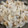 papikun's cooksnap of when they made 玉ねぎたっぷり！私のしゅうまい.