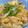 ＊みぃた1221＊'s cooksnap of when they made ☺揚げ玉・天かすで簡単♪節約たぬき丼☺.