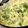 きゅーさん's cooksnap of when they made 速攻ピクルスで♪絶品タルタルソース.