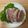 かおり♡♡♡'s cooksnap of when they made 簡単！むね肉の柔らかっ！サンチュ巻いて〜.