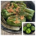 しゅい6's cooksnap of when they made 包丁いらず！丸ごとピーマンのレンジ煮浸し.