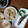 よちりん's cooksnap of when they made 基本☆うちの里芋煮ころがし.