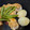 チョコママ★'s cooksnap of when they made 鶏のさっぱり煮.
